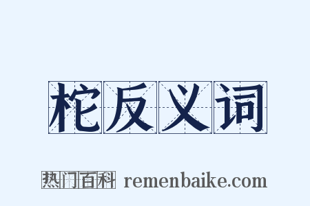 柁反义词是什么意思的图片